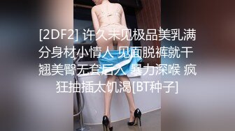 大奶女网友又来勾引我了