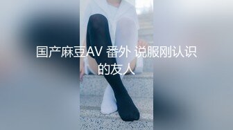 国产麻豆AV 番外 说服刚认识的友人