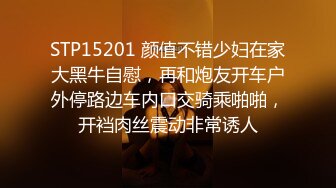 STP15201 颜值不错少妇在家大黑牛自慰，再和炮友开车户外停路边车内口交骑乘啪啪，开裆肉丝震动非常诱人