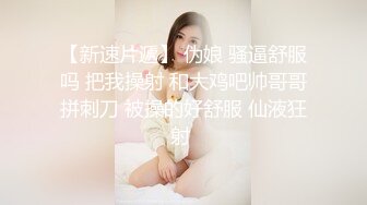 久违的小仙女