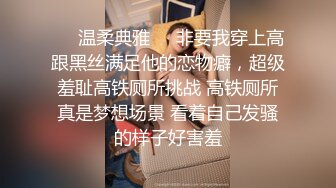 ❤️温柔典雅❤️非要我穿上高跟黑丝满足他的恋物癖，超级羞耻高铁厕所挑战 高铁厕所真是梦想场景 看着自己发骚的样子好害羞