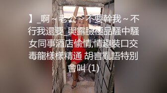 我的骚老婆十一部