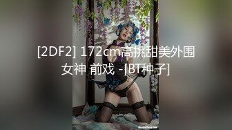 二次元女友