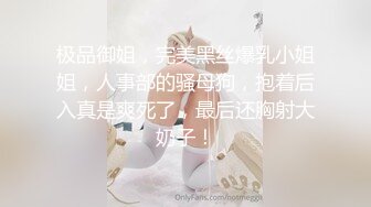 极品御姐，完美黑丝爆乳小姐姐，人事部的骚母狗，抱着后入真是爽死了，最后还胸射大奶子！