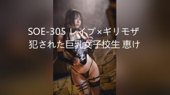 SOE-305 レイプ×ギリモザ 犯された巨乳女子校生 恵けい