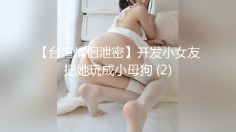 母狗人妻（二）