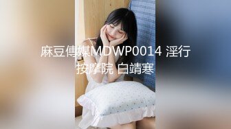 LJ极品地铁高清CD系列20部合集 (19)