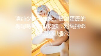 麻豆傳媒 MD0268 巨乳家教內射課程 淩薇