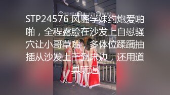 清秀如莲花Ts味儿的猫-职业成功女性、石榴裙下隐藏着秘密，两发妖液隔着丝袜喷射！ (1)