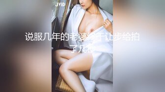 绝对领域LY-美021恋母癖儿子强上乳母亲