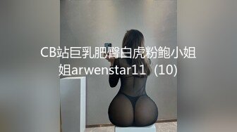 无套后入穿情趣内衣骚母狗