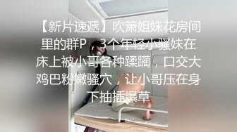 节奏打桩纽约少妇