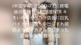 蜜桃传媒 PME045 怒操不礼貌的继女