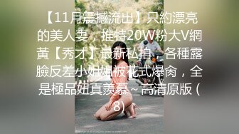 【11月震撼流出】只約漂亮的美人妻，推特20W粉大V網黃【秀才】最新私拍，各種露臉反差小姐姐被花式爆肏，全是極品妞真羨慕～高清原版 (8)