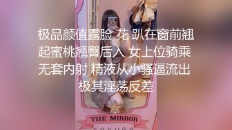 起点传媒 性视界传媒 XSJ119 JK双马尾甜美系女友 粉色情人