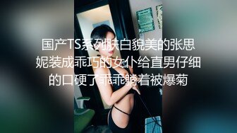 骚妻女仆装