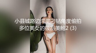  反差情趣新娘 身材超棒的小母狗穿上情趣婚纱别有一番风味，女神为何带向母狗项圈