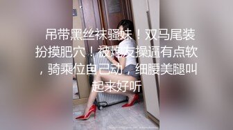 麻豆傳媒 MCY-0027空姐女友被強暴-蘇清歌