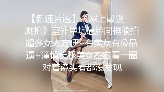 勾搭良家人妻 FC2卖家人妻爱奴 部分中文字幕作品合集【66V】 (9)