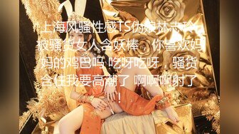 [ETQR-378] 【妄想主観】イクイク早漏敏感妹と排卵日子作りSEX 高橋りほ