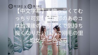 [2DF2]蜜桃美乳加上一线天馒头穴，急需提升偷拍设备清晰度 [BT种子]