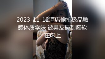 鉑金級 推薦 超鮮美鮑 MixMico大長腿平面超多美女人體極品寫真[208P+3V/409M]