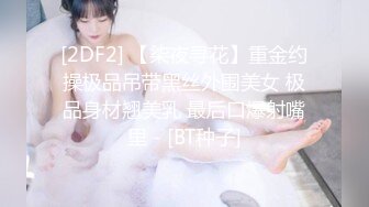 STP31804 少女椰子(禾書也) 情趣裝爆乳美腿！全身粉嫩肥唇美穴，翹起美臀搖擺，特寫騷穴，極度誘惑