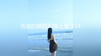 性感的韓國BJ線上看 334