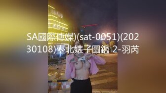 7/26最新 混血御姐单腿黑丝掰穴假屌磨蹭骚逼屁股骑乘上下套弄VIP1196