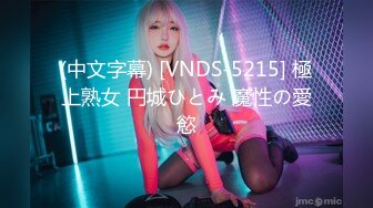 (中文字幕) [VNDS-5215] 極上熟女 円城ひとみ 魔性の愛慾