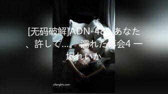 【年少不知阿姨好⚡错吧少女当成宝】大神「牛哥」真实约炮之东北熟女 丰臀巨颤 对白清晰 (4)