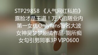 [2DF2] 国产av剧情黄瓜招待所接待会玩魔术的翻译后台调情720p[BT种子]