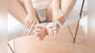 vec-247