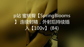 黏黏团子兔 NO.039 女仆小叽