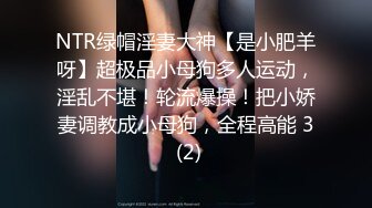 NTR绿帽淫妻大神【是小肥羊呀】超极品小母狗多人运动，淫乱不堪！轮流爆操！把小娇妻调教成小母狗，全程高能 3 (2)